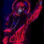 forest_redraw.png